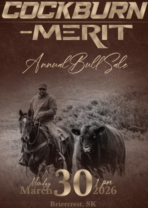 Annual Bull Sale